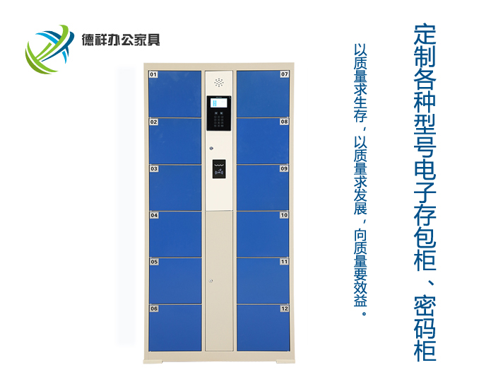 12門(mén)條碼電子存包柜